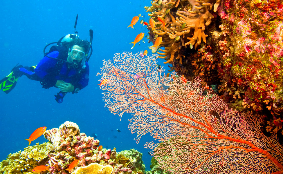 Andamans, Visit Andamans, Explore Andamans, Best Andamans Travel Agent, Best Andamans Operator, Visit Andaman Islands, Havelock Islands, Havelock, Radhanagar Beach, Scuba Diving in Andamans