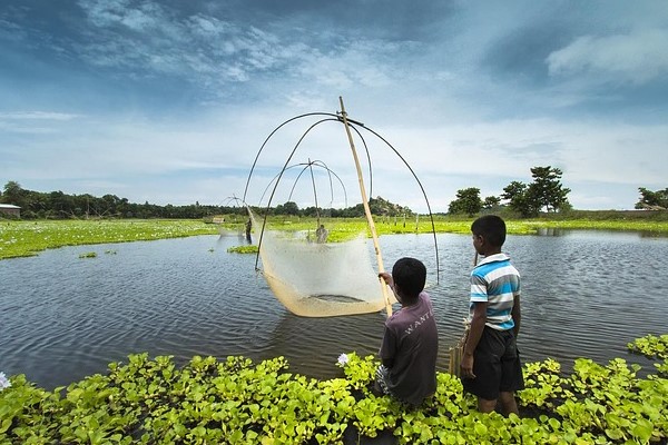Assam, Wildlife in Assam, Awesome Assam, Assam Tourism, Assam Culture, Assam, Tiger Spotted in Assam, Cuisine of Assam, Assamese Culture, Tourism in Assam, Where to go in Assam, What to do in Assam, What to eat in Assam
