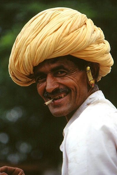 Bishnoi Article