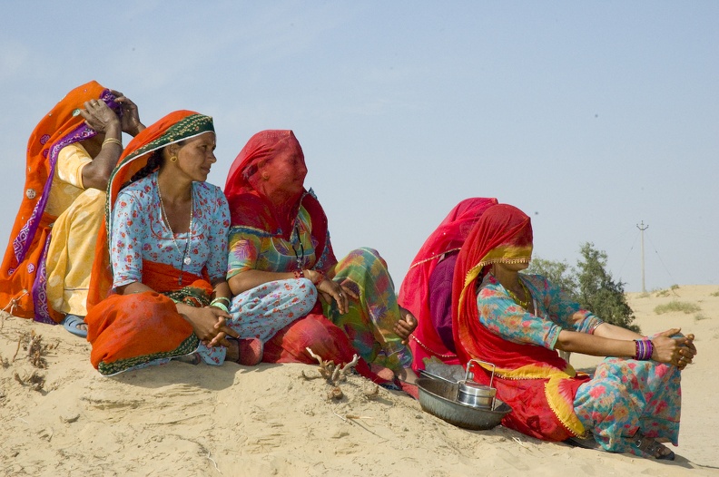 Bishnoi Article