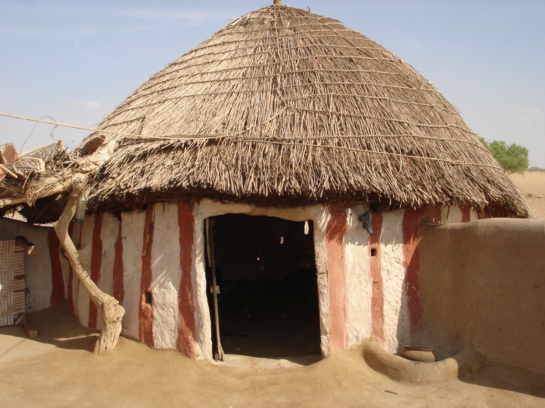 Bishnoi Article